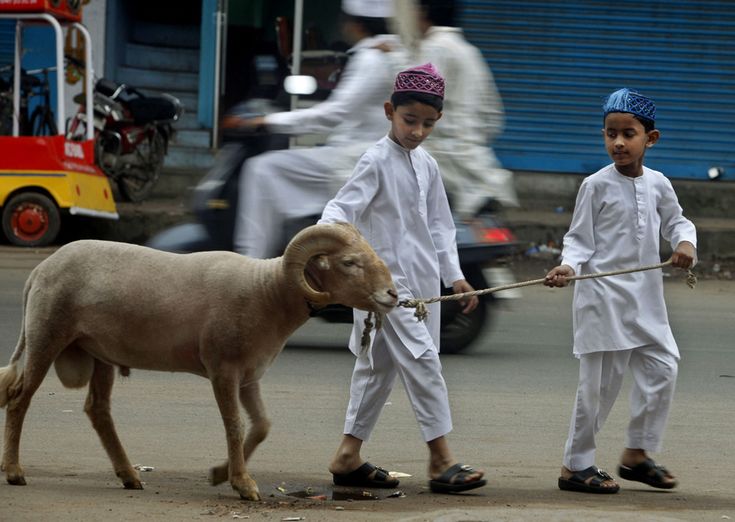 Eid ul Adha in Pashtun Culture: Unity in Tradition